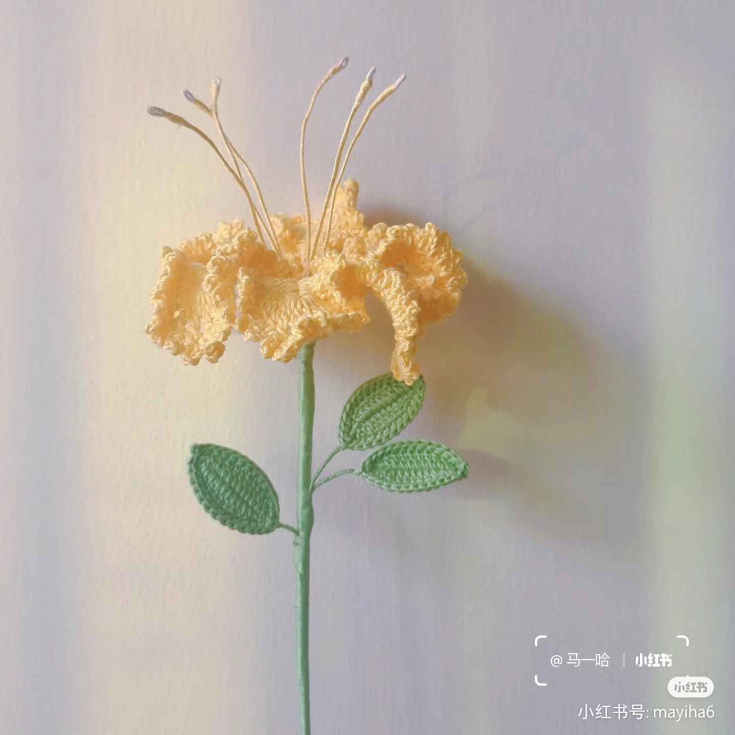 Chart móc hoa Chi bằng lăng - crape myrtle flower crochet chart